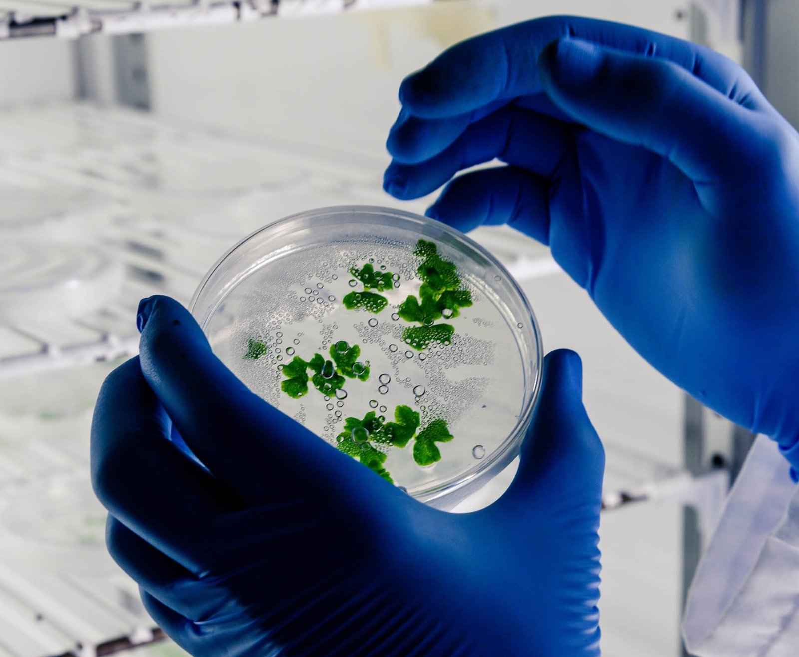 Featured image for “Use of OXYVITAL PSA Nitrogen Generators in Biological Sample Storage”